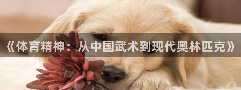 熊猫体育nba：《体育精神：从中国武术到现代奥林匹克》