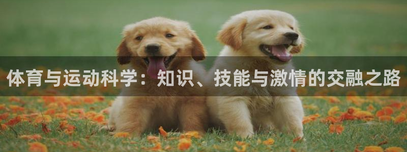 熊猫体育文化有限公司：体育与运动科学：知识、技能与激情的交融之路