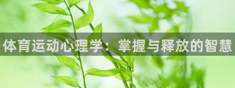 下载熊猫体育：体育运动心理学：掌握与释放的智慧
