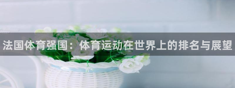 熊猫体育v3.新网页.org：法国体育强国：体育运动在世界上的排名与展望