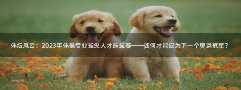 中山熊猫体育：体坛风云：2023年体操专业拔尖人才选拔赛——如何才能成为下一个奥运冠军？