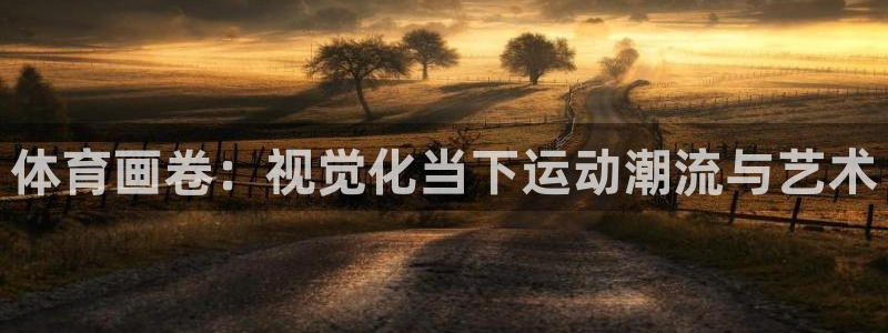 熊猫体育怎么样：体育画卷：视觉化当下运动潮流与艺术