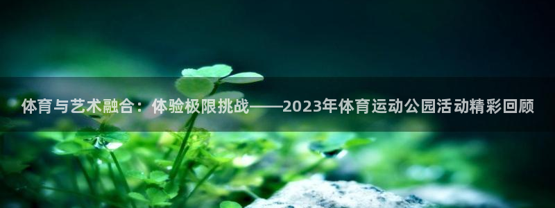 熊猫体育sports：体育与艺术融合：体验极限挑战——2023年体育运动公园活动精彩回顾