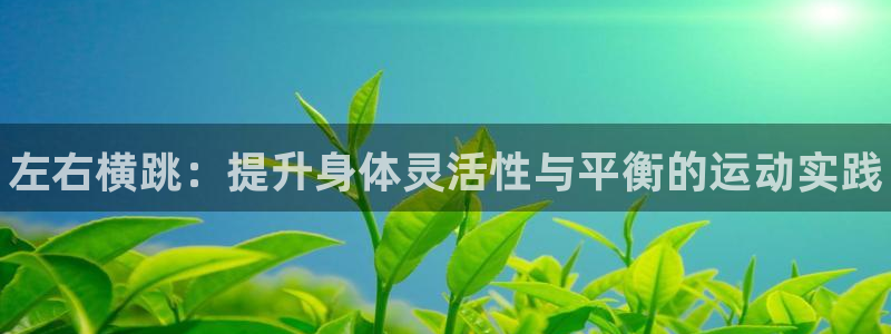 熊猫体育文化有限公司：左右横跳：提升身体灵活性与平衡的运动实践