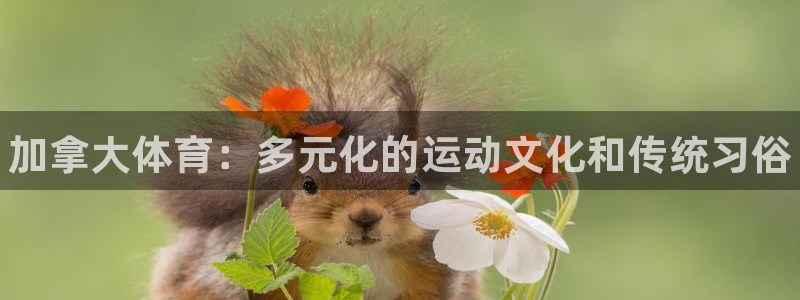 熊猫体育官网：加拿大体育：多元化的运动文化和传统习俗