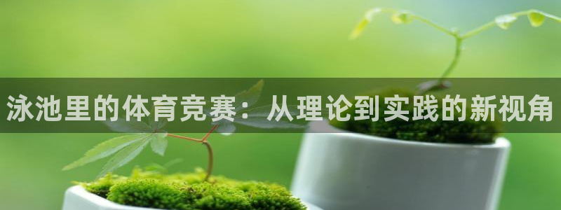 熊猫体育app官方下载最新版：泳池里的体育竞赛：从理论到实践的新视角