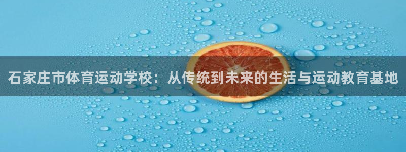 熊猫体育官网：石家庄市体育运动学校：从传统到未来的生活与运动教育基地