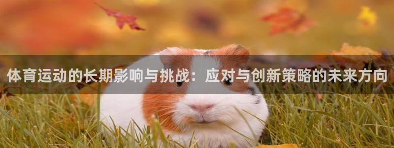 181熊猫体育：体育运动的长期影响与挑战：应对与创新策略的未来方向