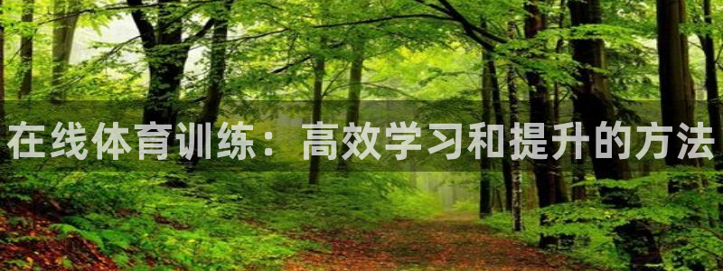 下载熊猫体育：在线体育训练：高效学习和提升的方法