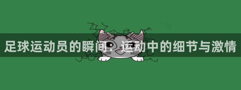 成都金熊猫体育：足球运动员的瞬间：运动中的细节与激情