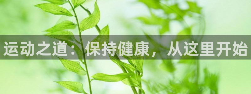 熊猫体育v3.新网页.org：运动之道：保持健康，从这里开始