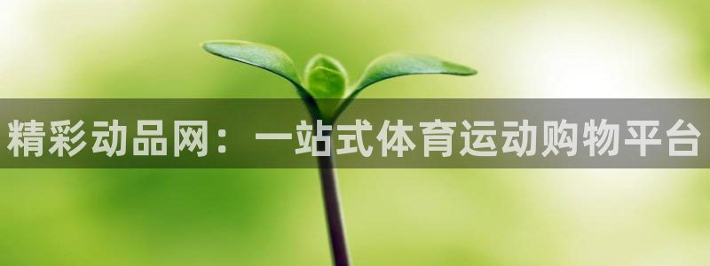 成都金熊猫体育：精彩动品网：一站式体育运动购物平台