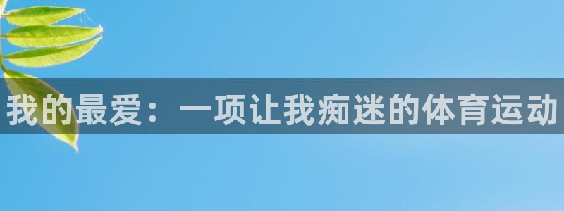 熊猫体育v3.新网页.org：我的最爱：一项让我痴迷的体育运动