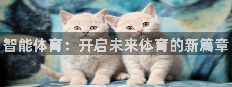 熊猫体育官方网站：智能体育：开启未来体育的新篇章