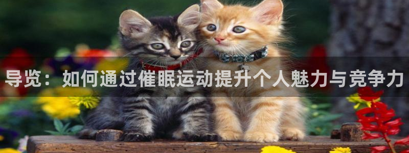 181熊猫体育：导览：如何通过催眠运动提升个人魅力与竞争力