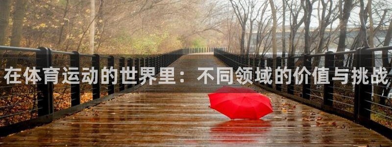 熊猫体育：在体育运动的世界里：不同领域的价值与挑战