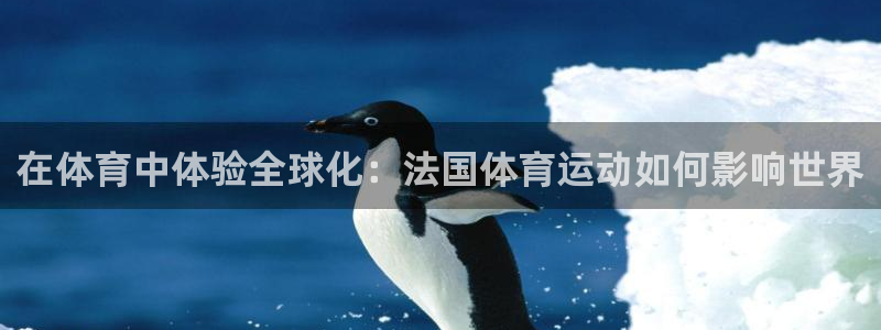 熊猫体育免费下载：在体育中体验全球化：法国体育运动如何影响世界