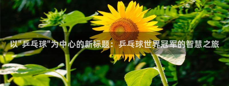 熊猫体育在线：以\