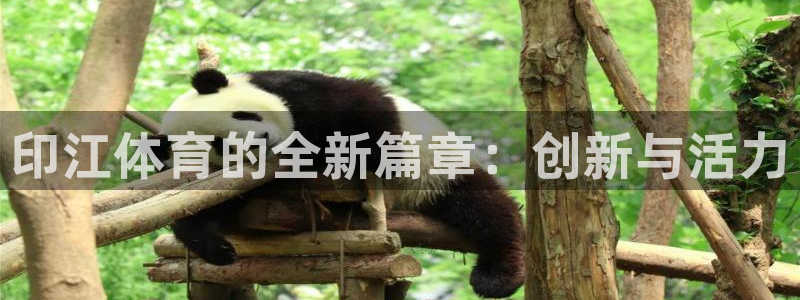 熊猫体育直播：印江体育的全新篇章：创新与活力