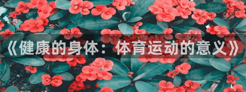 熊猫体育在线：《健康的身体：体育运动的意义》