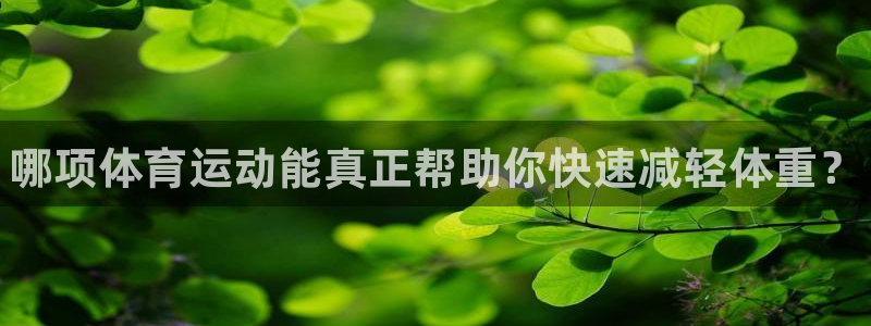 熊猫体育官网：哪项体育运动能真正帮助你快速减轻体重？