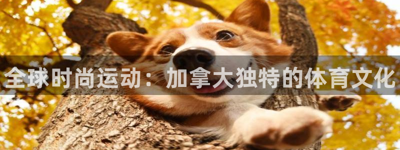 熊猫体育直播：全球时尚运动：加拿大独特的体育文化