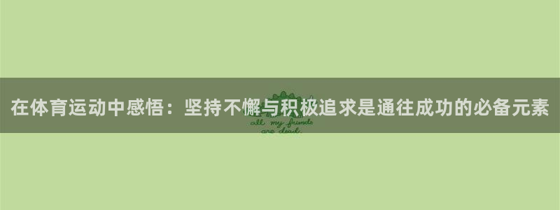 熊猫体育平台官网：在体育运动中感悟：坚持不懈与积极追求是通往成功的必备元素
