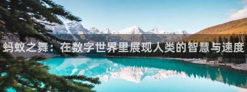 熊猫体育sports：蚂蚁之舞：在数字世界里展现人类的智慧与速度