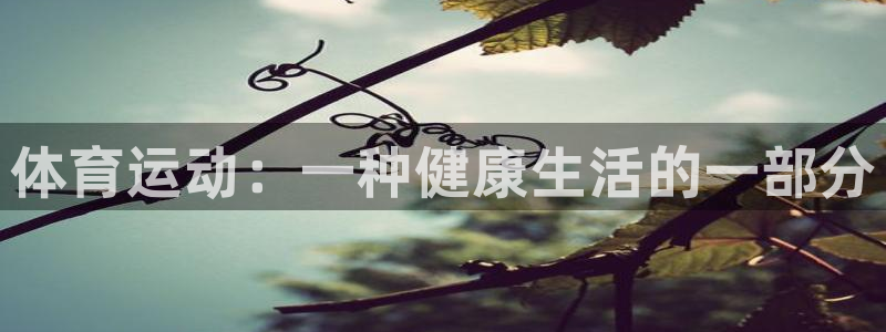 熊猫体育手机版下载：体育运动：一种健康生活的一部分