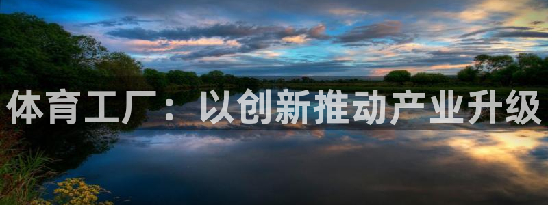 动感熊猫体育公园：体育工厂：以创新推动产业升级