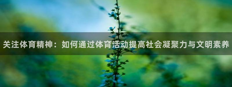 熊猫体育平台官网：关注体育精神：如何通过体育活动提高社会凝聚力与文明素养