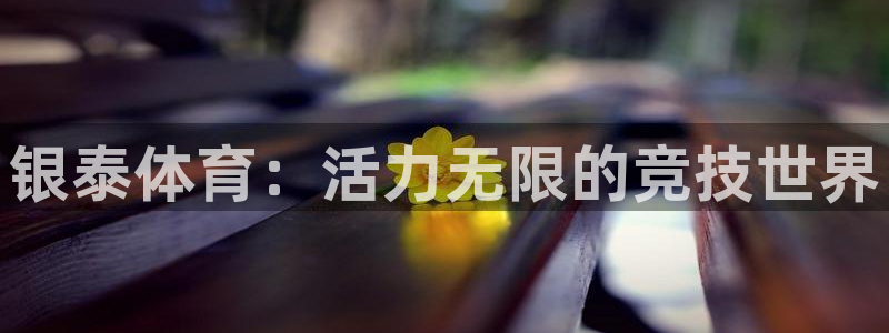 熊猫体育官网：银泰体育：活力无限的竞技世界