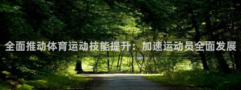 熊猫体育文化有限公司：全面推动体育运动技能提升：加速运动员全面发展