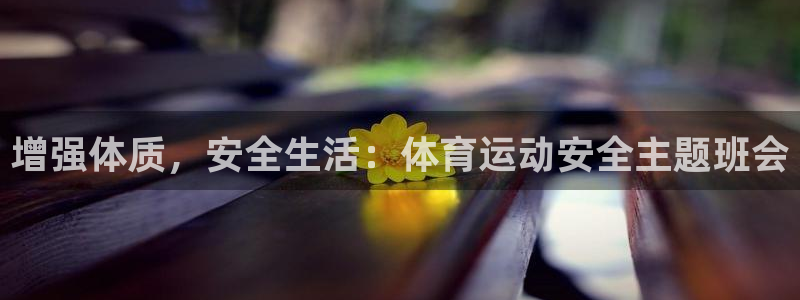 成都金熊猫体育：增强体质，安全生活：体育运动安全主题班会