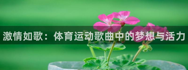 中山熊猫体育：激情如歌：体育运动歌曲中的梦想与活力
