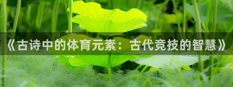 熊猫体育nba：《古诗中的体育元素：古代竞技的智慧》