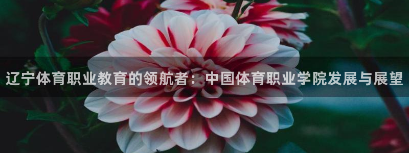 熊猫体育：辽宁体育职业教育的领航者：中国体育职业学院发展与展望