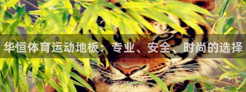 熊猫体育平台：华恒体育运动地板：专业、安全、时尚的选择